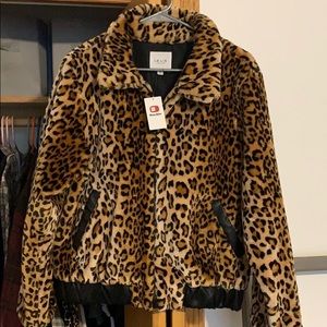 Cheetah coat